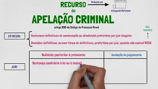 RECURSO DE APELAÇÃO CRIMINAL | RECURSOS EM ESPÉCIE | PROCESSO PENAL