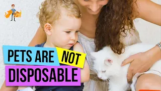 Your Pet Owner Responsibility - Pets are NOT Disposable - Dog + Cat Health Vet Advice