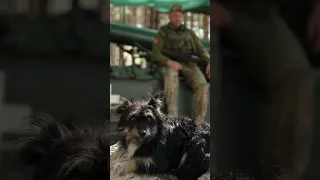 Бойовий пес на прізвисько Жуля🐶🇺🇦