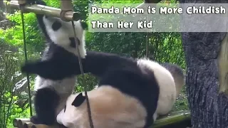 Panda Mom is More Childish Than Her Kid | iPanda