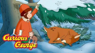 George's Sleepover Party 🐵 Curious George 🐵 Kids Cartoon 🐵 Kids Movies