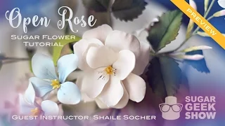 Open Rose Sugar Flower Tutorial Preview - Premium Level