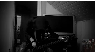 the GazettE - UGLY Bass Cover