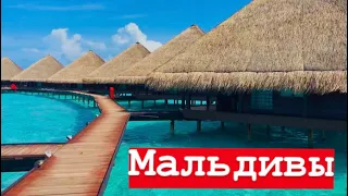 Почему все хотят на МАЛЬДИВЫ Вилла на ВОДЕ сколько стоит Adaaran club Rannalhi Resort