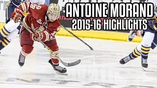 Antoine Morand | 2015-16 Highlights | Acadie-Bathurst Titan