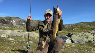 Hardangervidda - fiske i kulp og elv i regn og sol