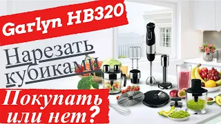 Garlyn HB 320 Погружные Блендер | Распаковка и Полный Обзор |Блендер Нарезает Кубиками | Epic Recipe