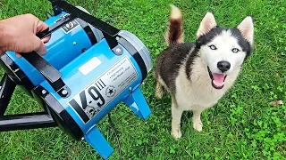 "K-9 III" Best Husky Coat Deshedder! - Husky Coat Blow Out