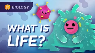 Introduction to Biology: Crash Course Biology #1