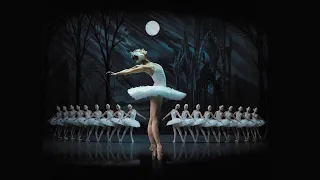 Irina Kolesnikova | Swan Lake | St Petersburg Ballet Theatre (SPBT)