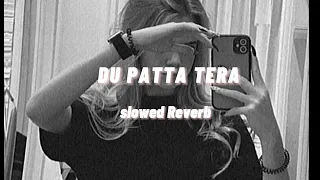 Dupatta Tera Nau Rang Da..🦋[Slowed+Reverb]