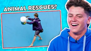 FUNNIEST Animal Rescues - Bondi Lifeguard Reacts