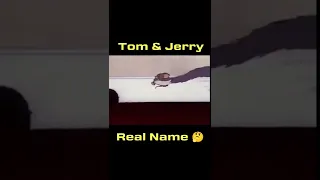 Tom & Jerry Real Names 🤯? #shorts #ytshorts #reels #tiktok #moj #youtube #tom&Jerry