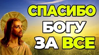 СПАСИБО БОГУ ЗА ВСЕ! Скажи СПАСИБО Господу Богу ПРЯМО СЕЙЧАС!