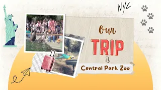 Our Trip to Central Park Zoo 🦁 - May 2024 #nyc #centralparkzoo