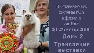 Выставка кошек системы PCA on-line 26-27 октября 2019г день 2