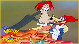 Woody Woodpecker | Fair Weather Friends | Old Cartoon | Woody Woodpecker Full Episodes