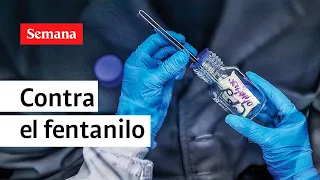 Gustavo Petro propone una medida contra el consumo de fentanilo | Semana Noticias