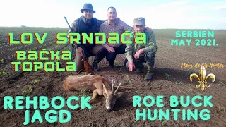 Roe buck hunting - Lov srndaca - Backa Topola 14.-16. 05. 2021.