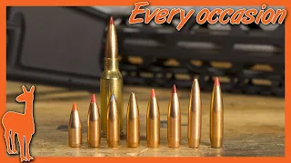 RFR #2: The Most Flexible Cartridge in the World? 6mm ARC vs 6.5 Grendel vs 224 Valkyrie