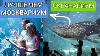 Москва-океанариум Крокус Сити, круче чем Москвариум?|Куда сходить с детьми в Москве?