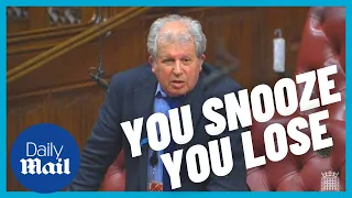 Labour Party peer told off for allegedly snoozing in House of Lords