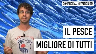 Il pesce migliore di tutti