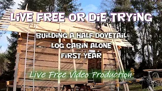 Solo building a log cabin, Living the dream in the woods - Dovetail log cabin - First Year