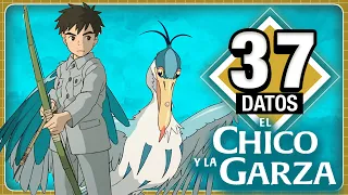 EL NIÑO Y LA GARZA 🧑🏻𓅣: 37 Datos MÁGICOS que DEBES SABER de LA ÚLTIMA JOYA DE GHIBLI | Átomo Network