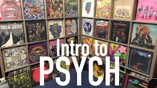 Intro to collecting Psych Vinyl