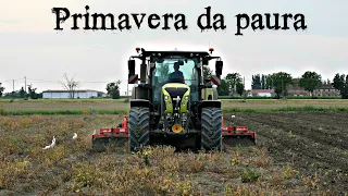 PRIMAVERA COMPLICATA, COME USCIRNE BENE?