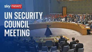 UN Security Council | Threats to the international security