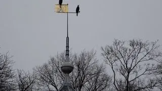 Weerbericht woensdagochtend: Later vandaag veel wind