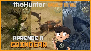 CÓMO GRINDEAR - MI MÉTODO PARA BUSCAR GREAT ONE Y RAROS - TUTORIAL | 🦌theHunter: CotW