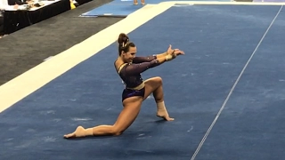 Ashleigh Gnat (LSU) Floor 2017 NCAA Semifinals 9.9615