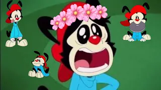 Wakko being a “good boi” for almost 3 minutes