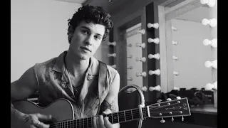 Shawn Mendes: The Tour Part VI