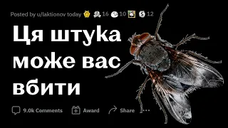 ТРИВОЖНІ ФАКТИ | РЕДДІТ УКРАЇНСЬКОЮ