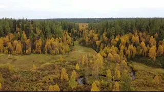 В поисках снежного человека ( 4 часть)