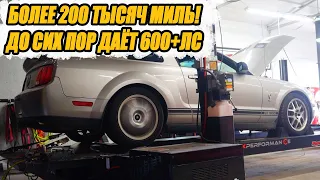 Самый дешевый Shelby GT500 в США с пробегом 210 тысяч миль, который ВАЛИТ!