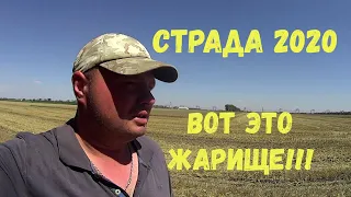 УБОРКА 2020 ИДЁТ ПОЛНЫМ ХОДОМ!!!АКРОС 580 ВЕКТОР 410.В ТАКУЮ ЖАРИЩУ МЫ ЕЩЁ НЕ РАБОТАЛИ!!!