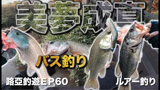 【路亞初心者🔰】美夢成真！這裡有一群魚專門接落下の餌？＃釣魚＃路亞＃鱸魚＃黑鱸#ルアー釣り#バス釣り#Lurefishing#bassfishing