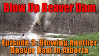 Beaver dam vs Tannerite