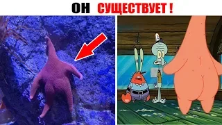 Лютые приколы . ОН СУЩЕСТВУЕТ.Угарные мемы