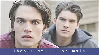 Theo+Liam | |  Animals