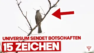 Unglaublich - SO sendet DIR das Universum interessante Botschaften!