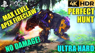 Perfect Hunt Apex Fireclaw Ultra Hard No Damage Horizon Forbidden West NG+ Defiance Bow PS5 4K 60FPS