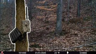 Why Cell Cameras Spook BIG BUCKS!!!