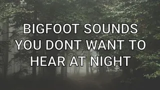 Bigfoot Sounds You Dont Want To Hear At Night