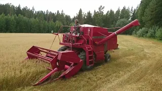 Puinnit 2022! Niklas-luomukauran puintia Massey Ferguson 330/Case IH 4230.